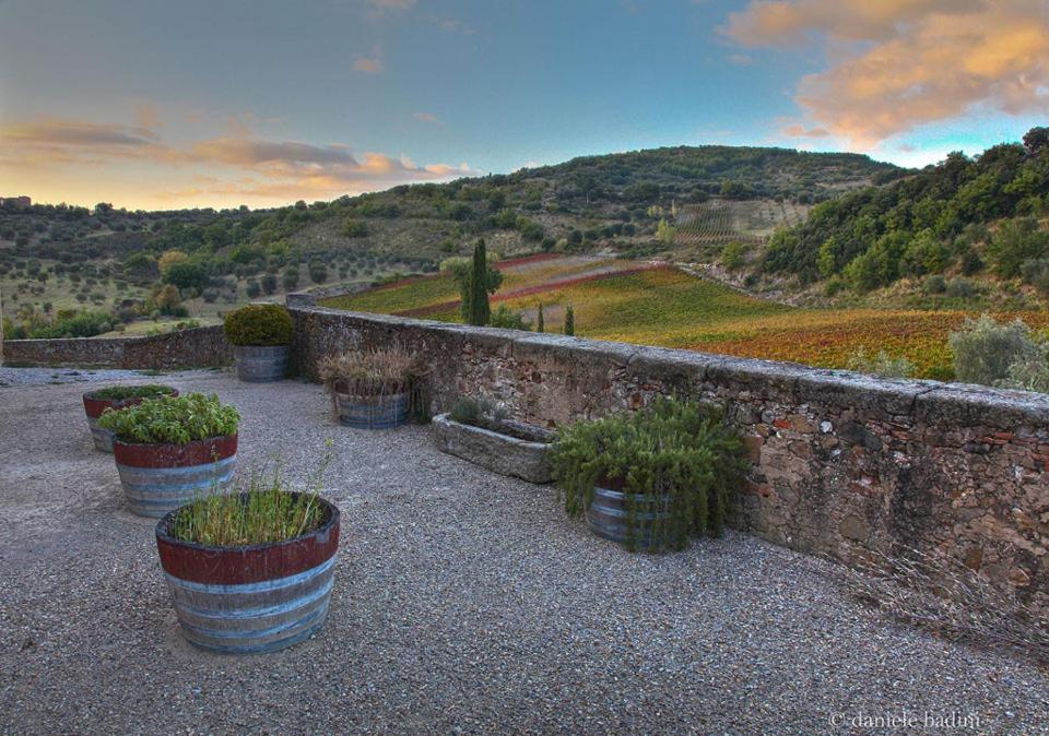 Dimora Toscana Leilighet Seggiano Eksteriør bilde